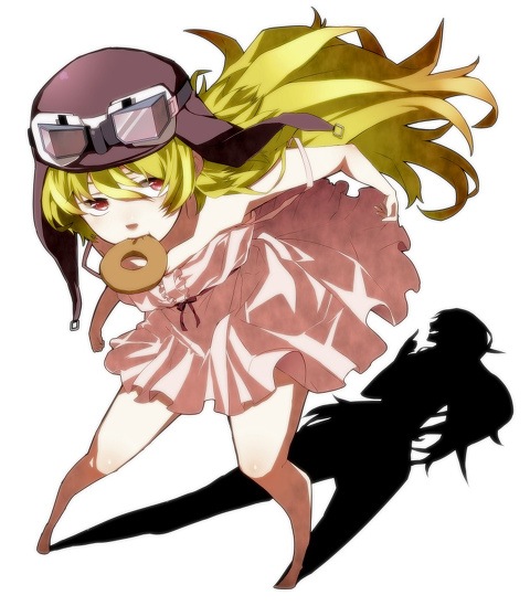 pfch13