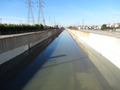 DSC02208