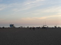 DSC02194