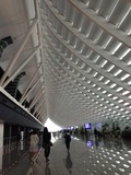 IMG_5206