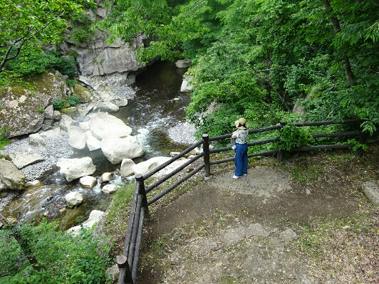 DSC00906-532x399