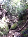 沢