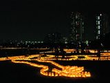 IMG_1498