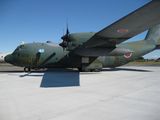 C-130 ¦��