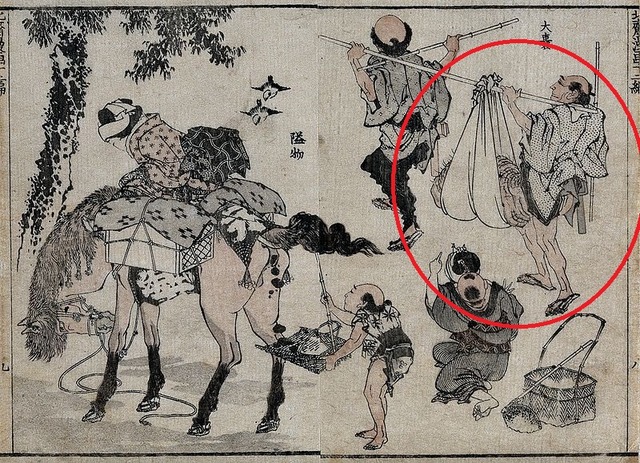 葛飾北斎による象皮病患者が描かれた浮世絵。