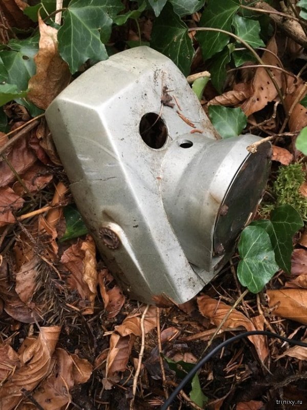 found_in_the_forest_08