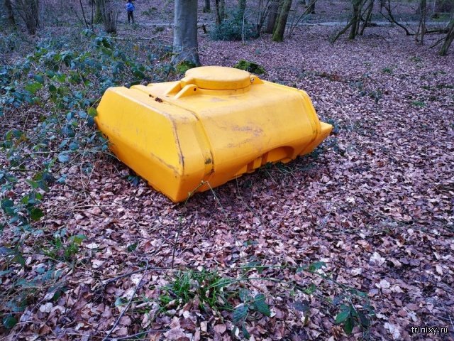 found_in_the_forest_10