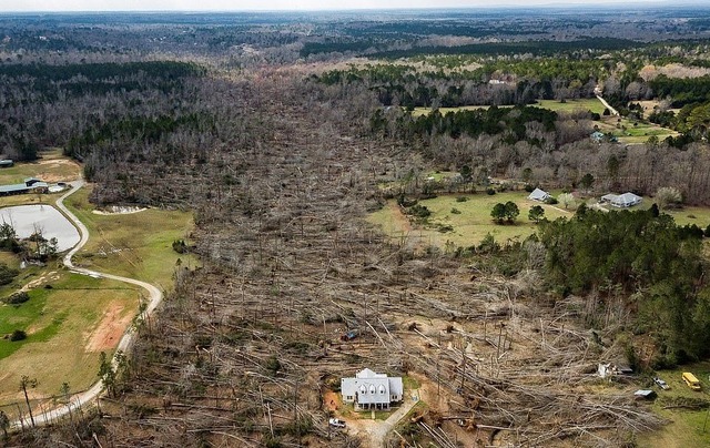 alabama_and_georgia_tonado_09