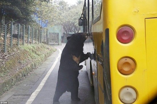 画像の名前