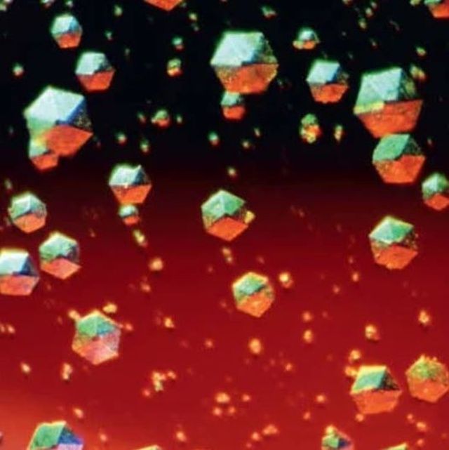 microskop_15