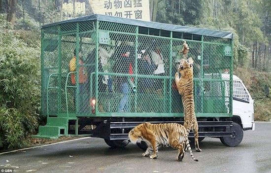 画像の名前