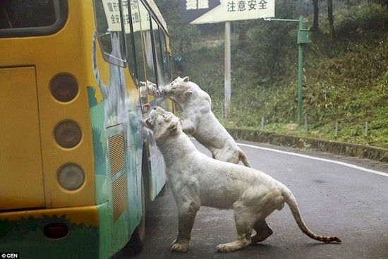 画像の名前