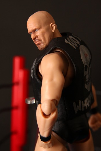 figuaartsStonecold14