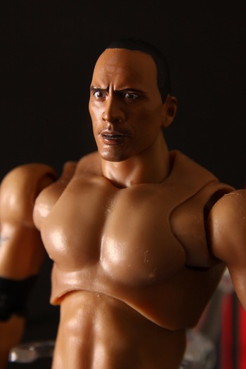 figuartsTheRock05