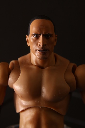 figuartsTheRock04