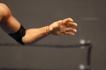 figuartsTheRock09