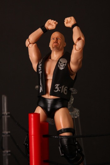 figuaartsStonecold12