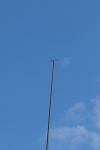P9285674