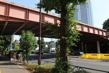 IMG_4767Z