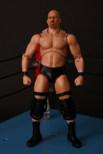 figuaartsStonecold04