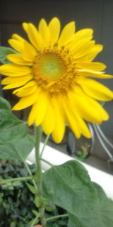 3c2d4963.jpg