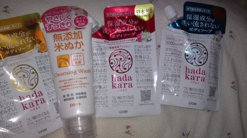 今日の収穫・・