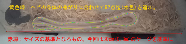 TS000187
