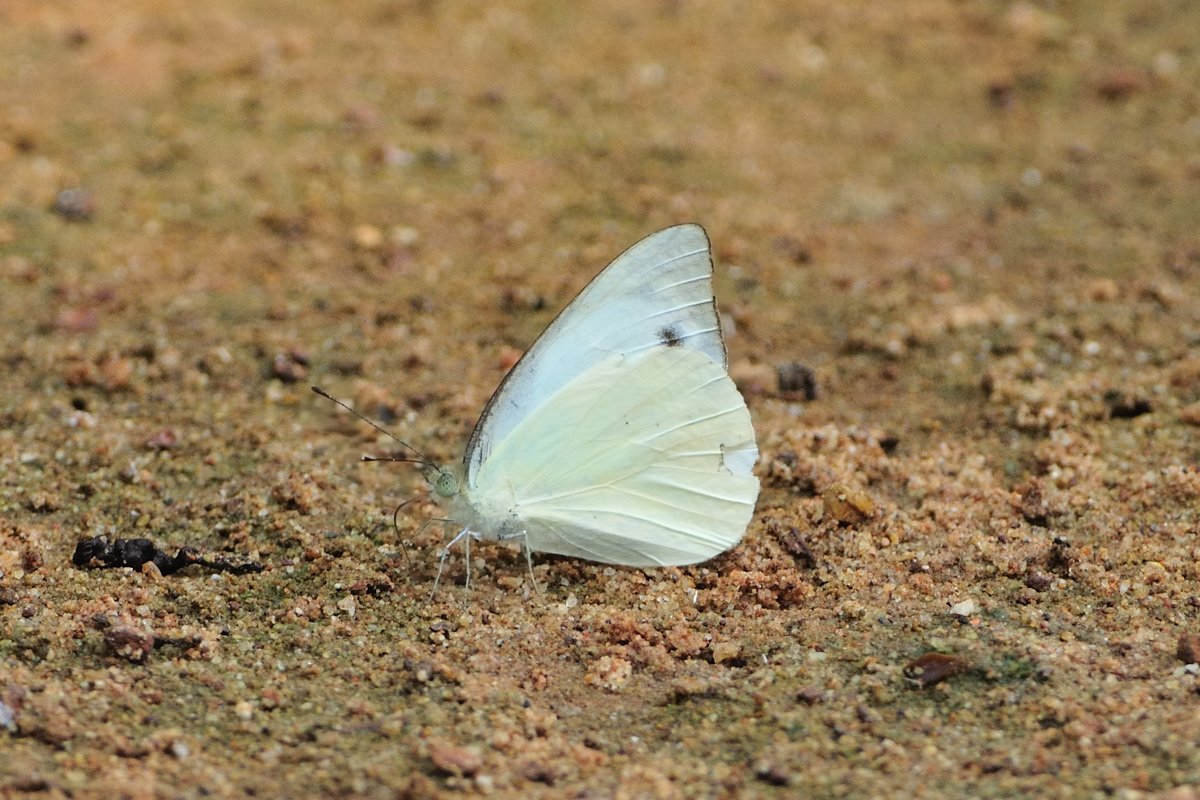 20d3ef08.jpg