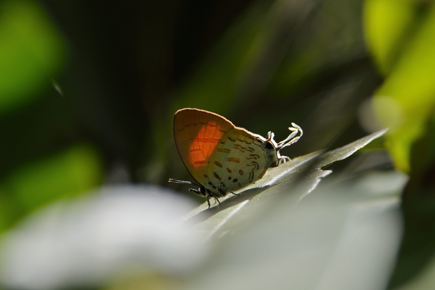 645c19ae.jpg