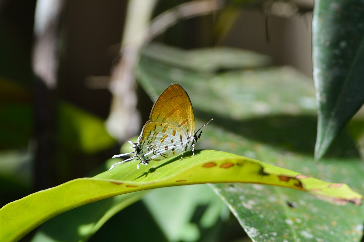 759d60c4.jpg