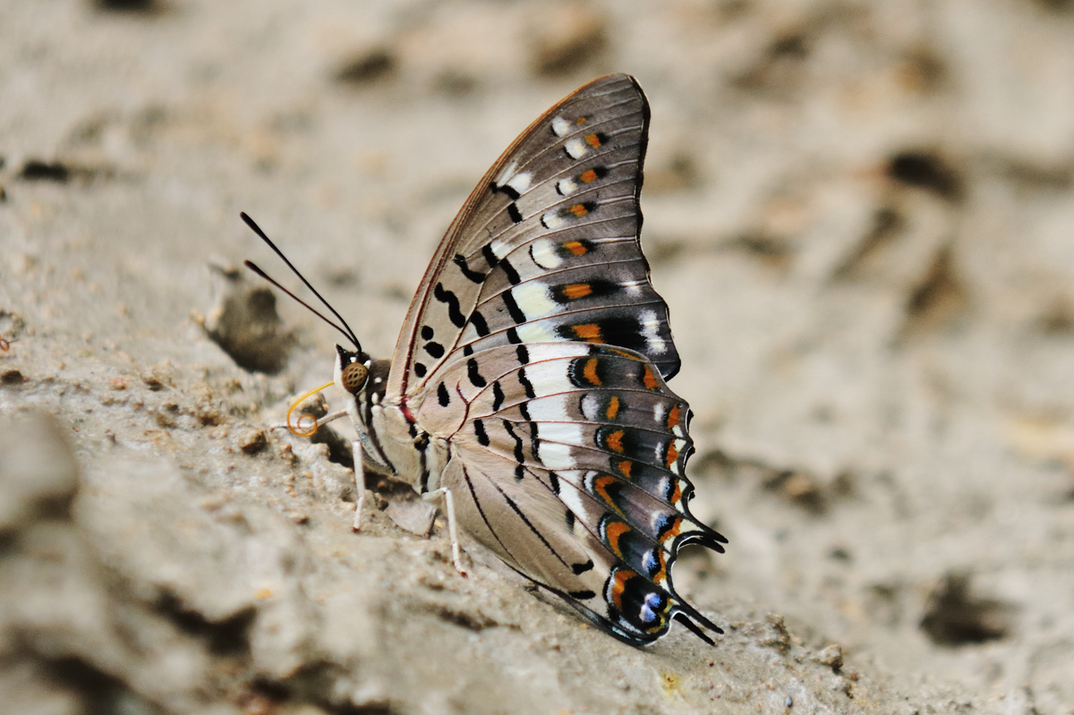 906a92d1.jpg