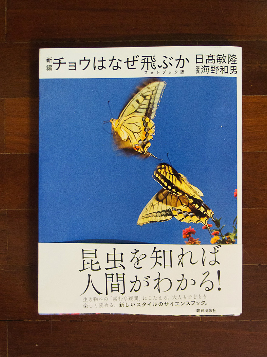92fc097e.jpg