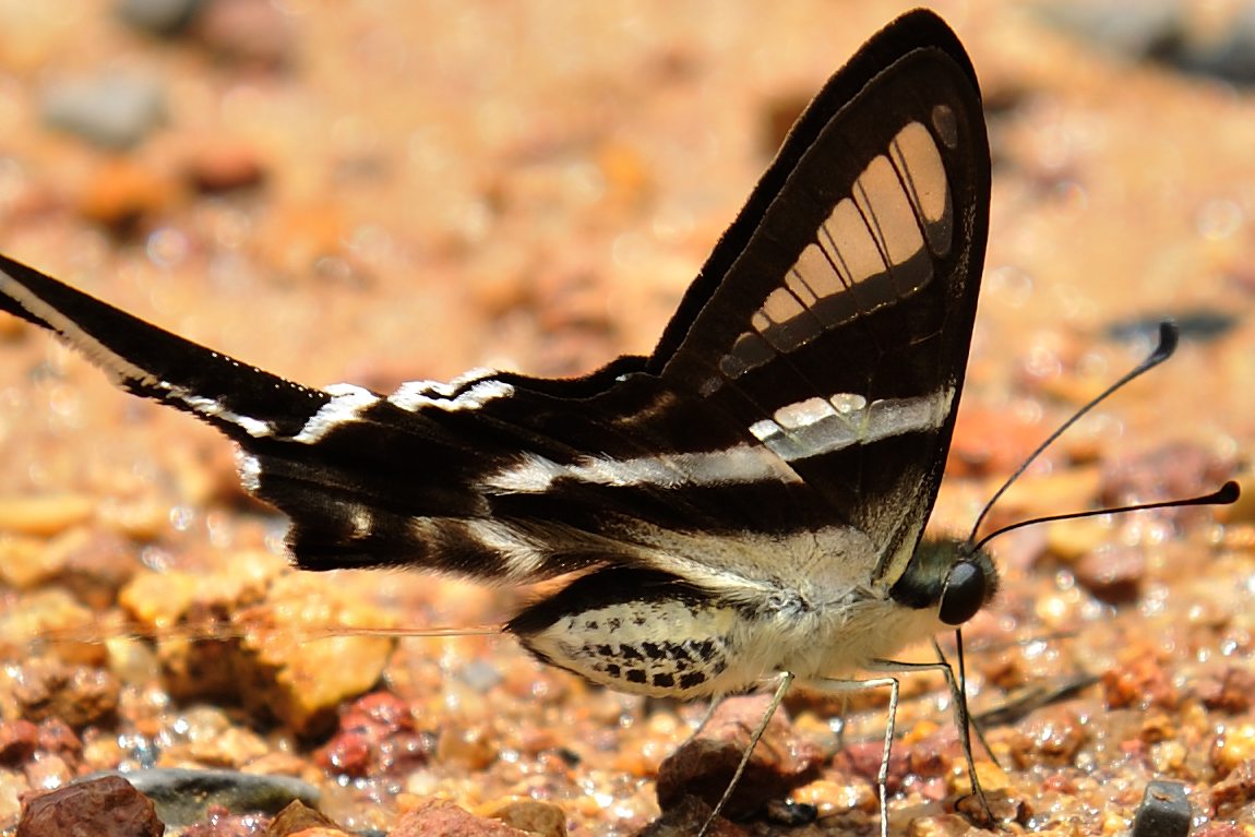 a018c914.jpg