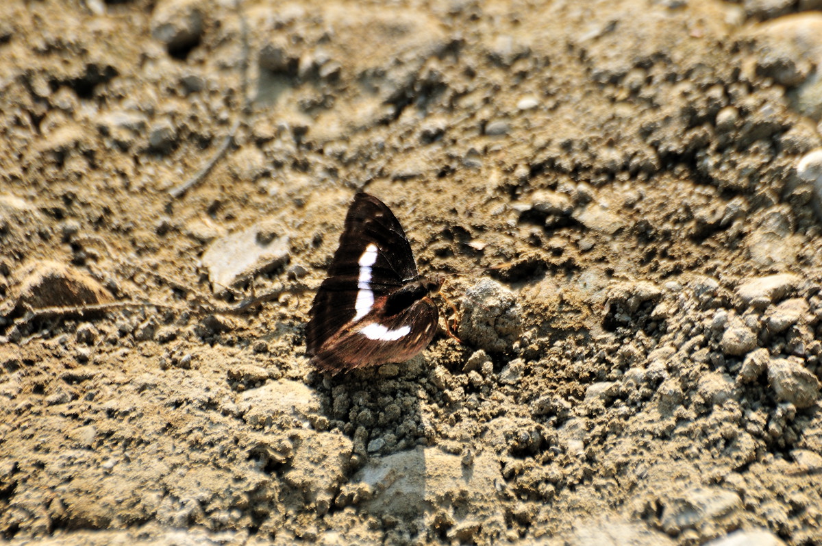 a9c42a29.jpg