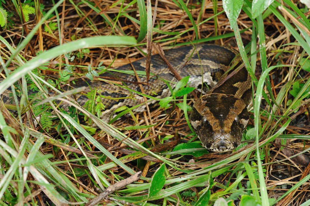 d4ea8942.jpg