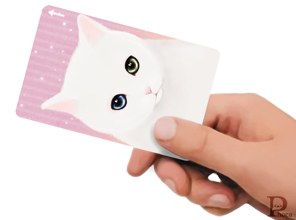 桃白にゃんこ