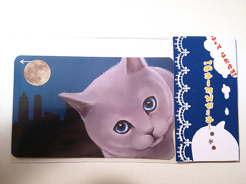 夜にゃんこ