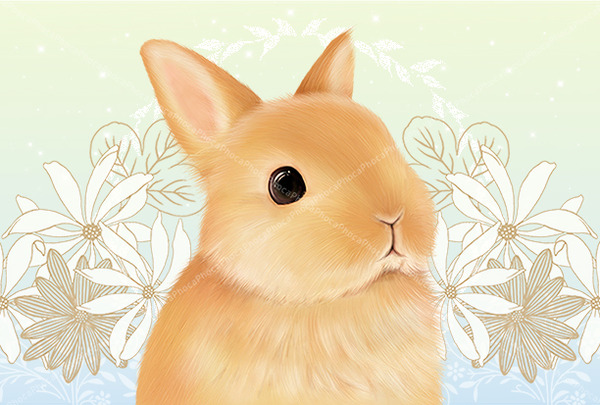 オレンジうさぎと白い花