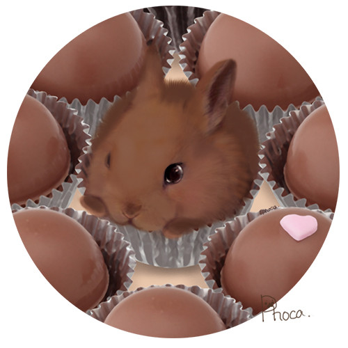 チョコ