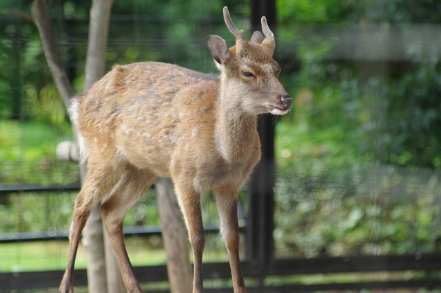 IMGP2293_1280
