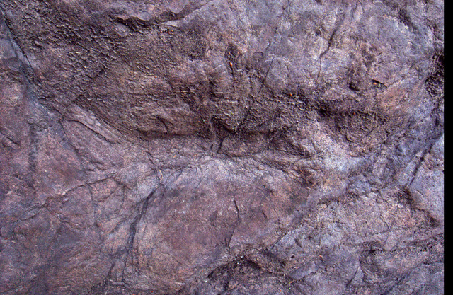 R1059265