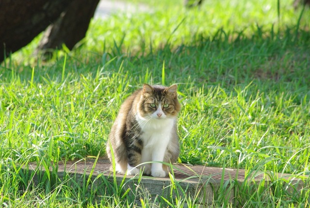 IMGP2379_1280