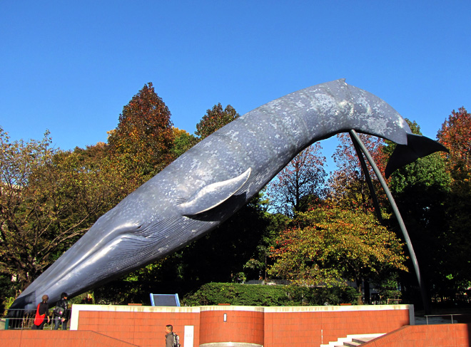 660クジラ01
