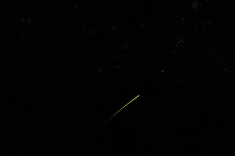 IMG_0068