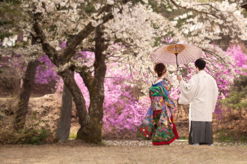 究極のブライダル桜ロケがお得なプランで撮影出来ます。　