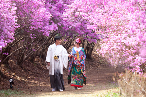 春の桜ロケ　ただ今絶賛予約承り中！