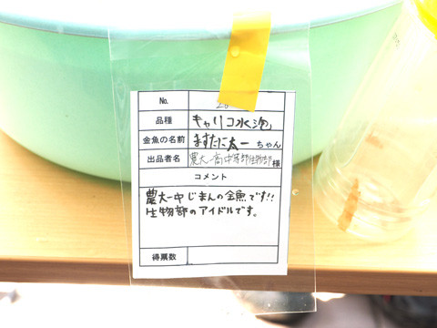 P7200016