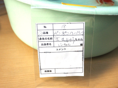 P72002021