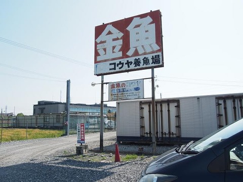 P5254517