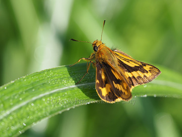 P7210546